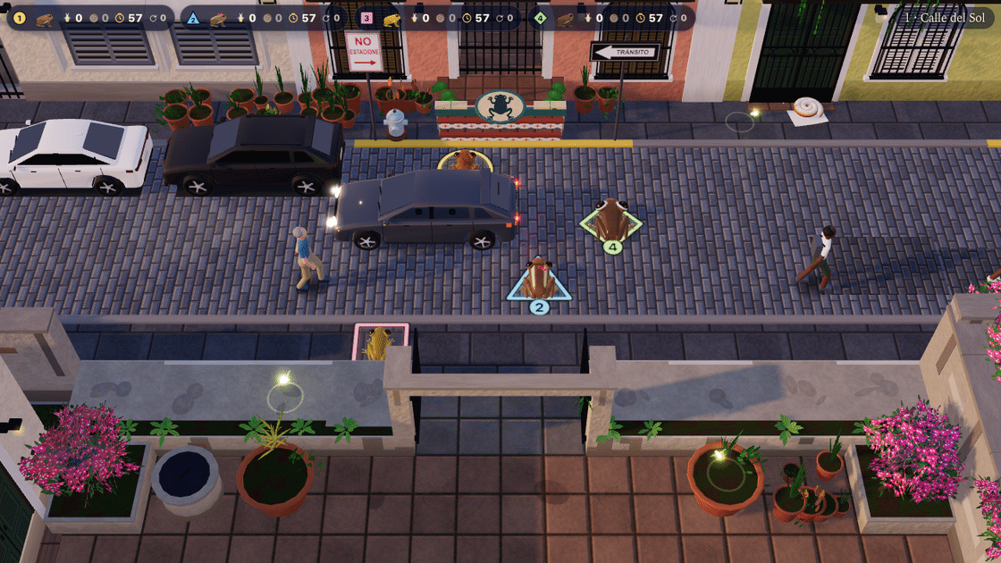 Actual gameplay with four frogs together on Calle del Sol in Viejo San Juan